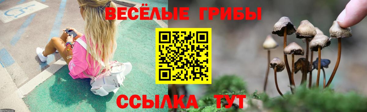 Псилоцибиновые грибы GOLDEN TEACHER  Галлюциногенные грибы прущие грибы  Анапа  Вход с VPN 